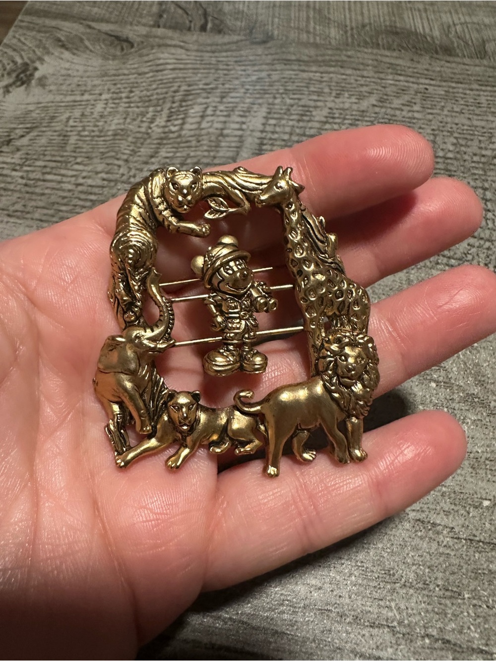 Disney Animal Kingdom Pin